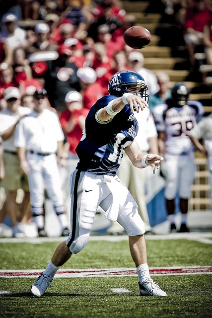 有许多名将 有许多名将